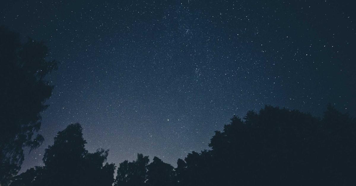 自然の風景